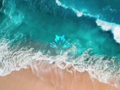 Launching Sea Wolves Sailing TV & News | upcoming coverage of the #VendeeGlobe2020 race