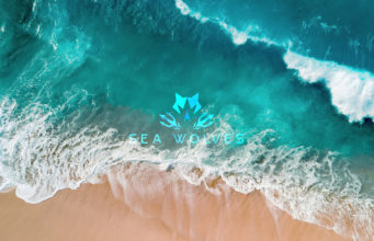 Launching Sea Wolves Sailing TV & News | upcoming coverage of the #VendeeGlobe2020 race