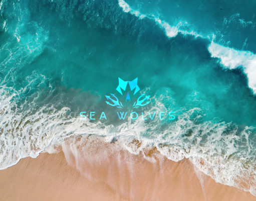 Launching Sea Wolves Sailing TV & News | upcoming coverage of the #VendeeGlobe2020 race