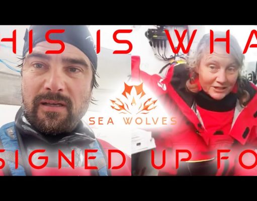 Sea Wolves – Vendee Globe 2020 report – Cape Horn honors it’s reputation! Analysis of the road home!