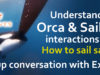 Understanding Orca VS sailboat interactions and how to sail safely with Orca’s. A group conversation with experts! Understanding Orca vs sailoboat interactions, How to sail safely with Orca's. A group conversation with experts