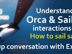Understanding Orca VS sailboat interactions and how to sail safely with Orca’s. A group conversation with experts! Understanding Orca vs sailoboat interactions, How to sail safely with Orca's. A group conversation with experts