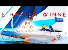 Sea Wolves – Transat jacques vabre IMOCA report! Top 5 boats analysis and Class 40 battle heats up!