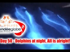 Seawolves vendeeglobe 2024 report 50 – Dolphins at night. Everything is going alright! Happy NY!