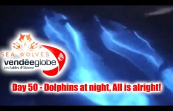 Seawolves vendeeglobe 2024 report 50 – Dolphins at night. Everything is going alright! Happy NY!