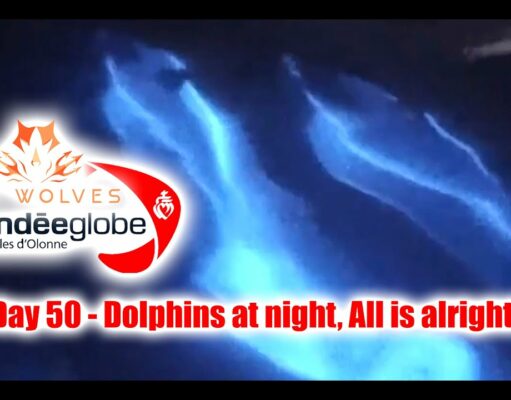 Seawolves vendeeglobe 2024 report 50 – Dolphins at night. Everything is going alright! Happy NY!